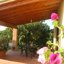 Casa Vacanze Bilocale Le Antiche Macine Immerso Fra Ulivi